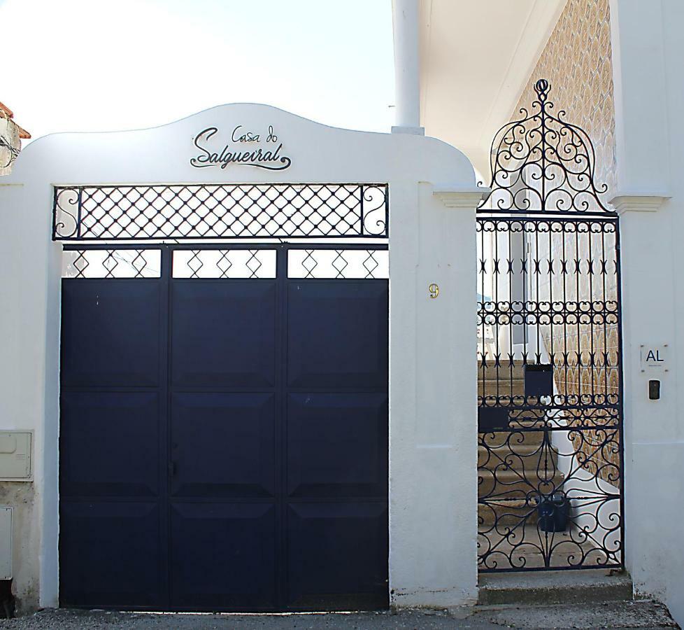 Hotel Casa Do Salgueiral Douro Peso da Régua Exterior foto
